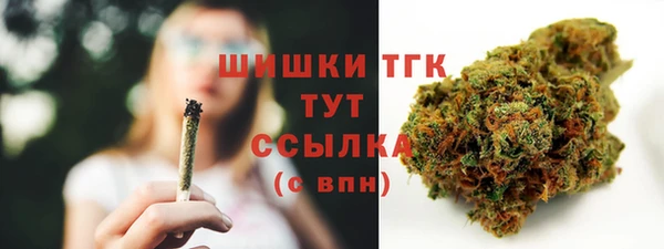 мяу мяу мука Арсеньев