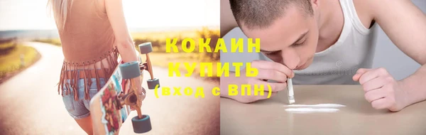мяу мяу мука Арсеньев